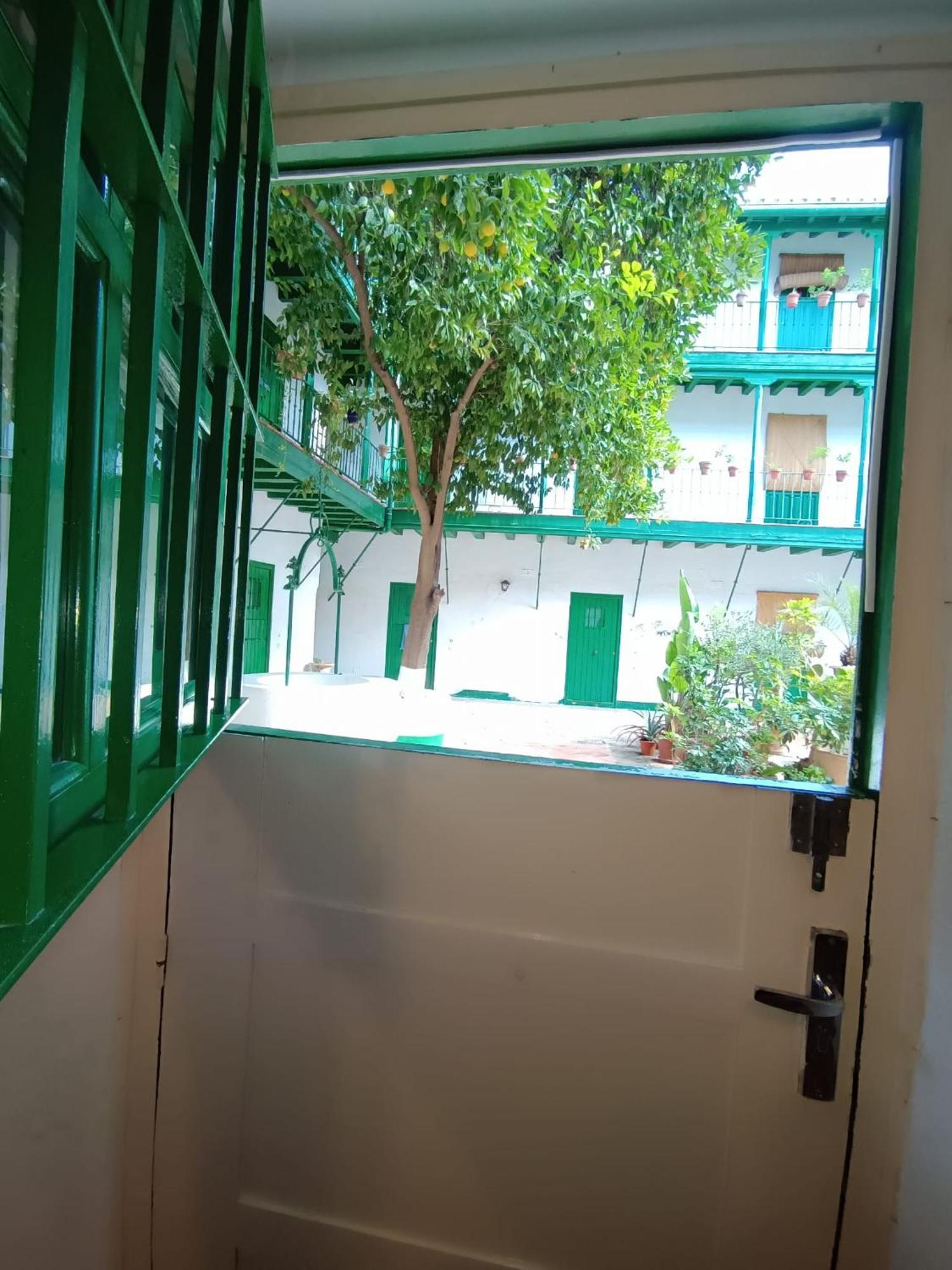 La Puerta Verde De Las Setas De Sevilla Bagian luar foto